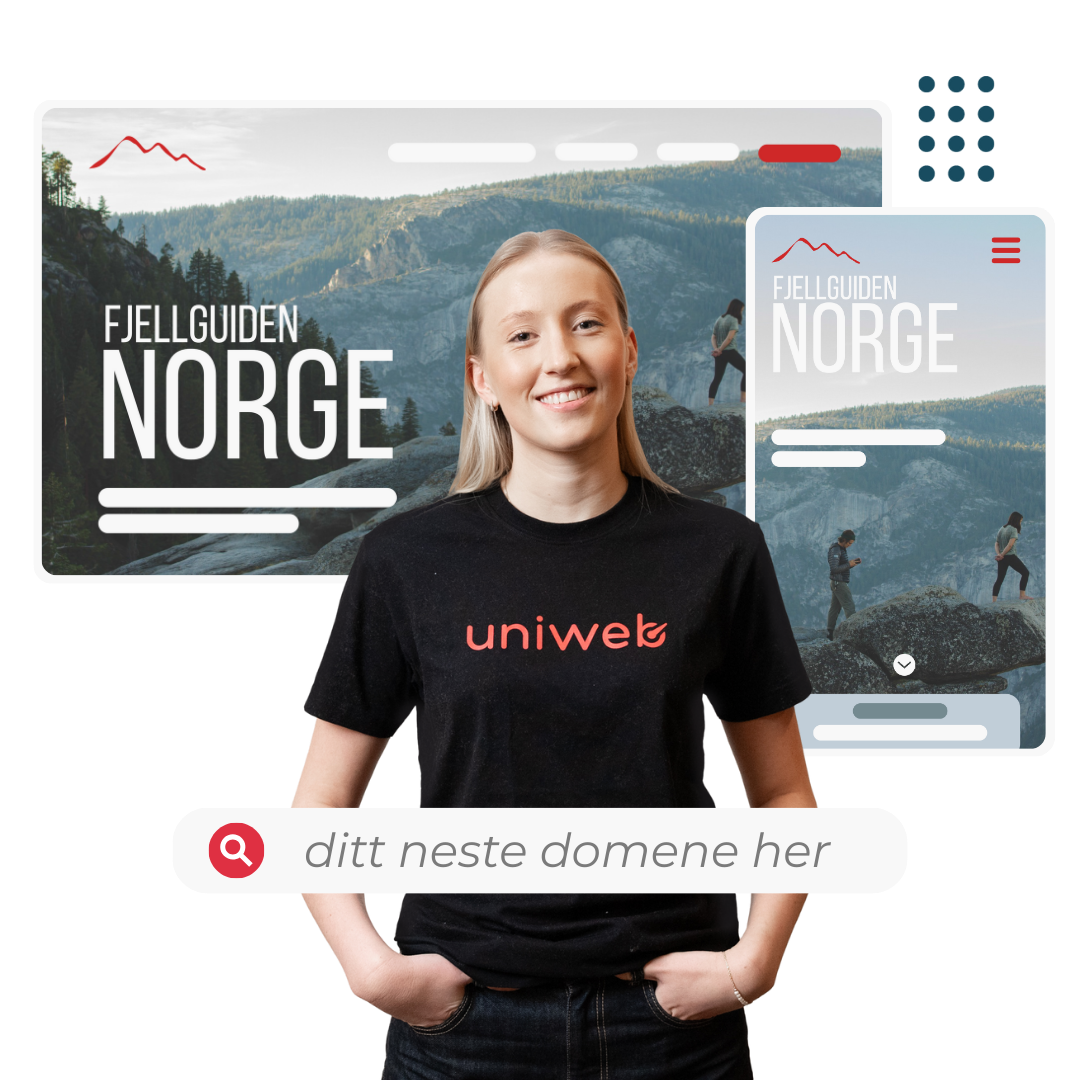 Fjellguiden Norge-domenesøk