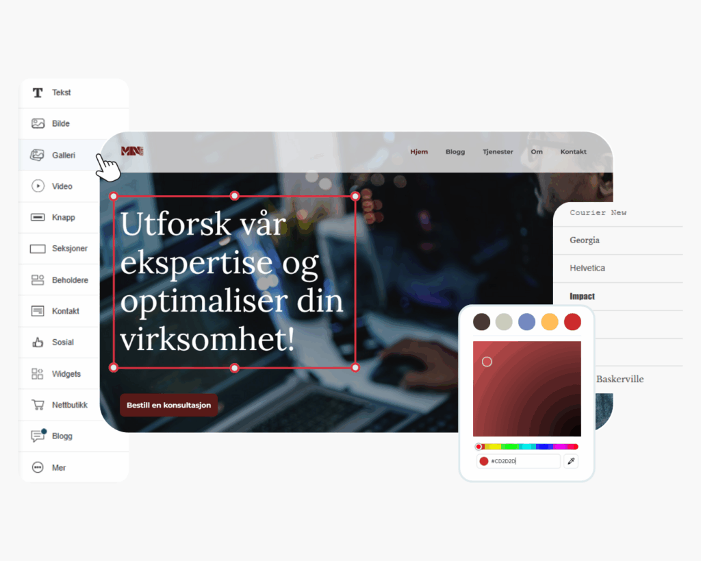 Nettsidebygger (3)