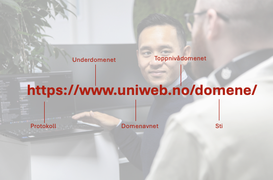 hva er en url visualisert